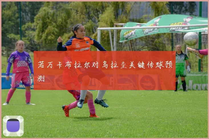 若万卡布拉尔对乌拉圭关键传球预测