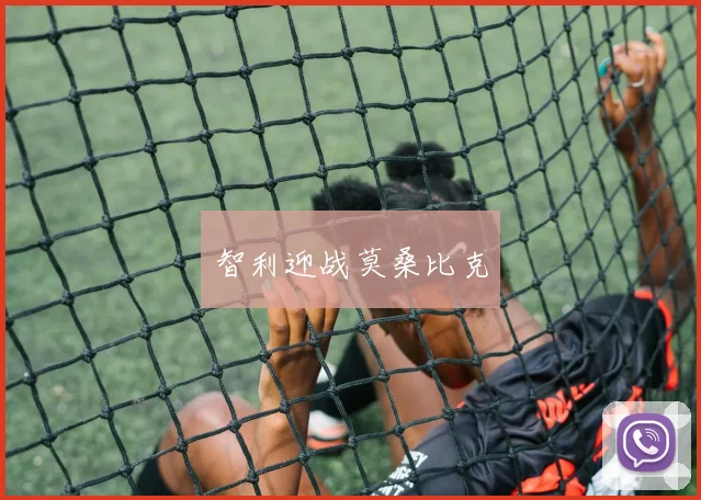 智利迎战莫桑比克 - 世界杯 - 2026世界杯官方中文网站