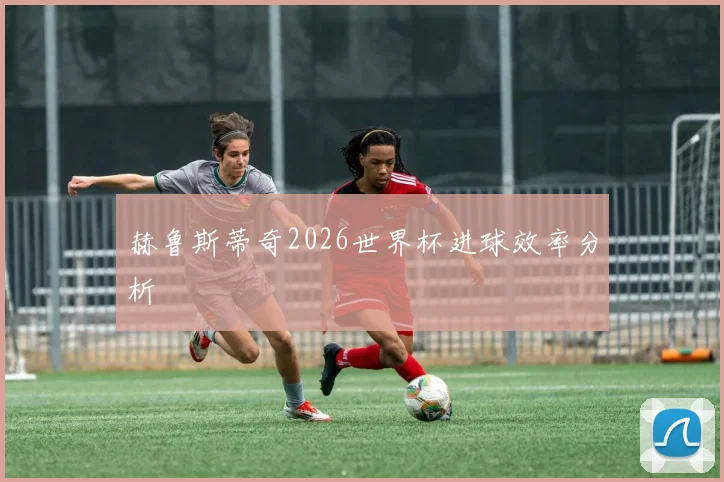 赫鲁斯蒂奇2026世界杯进球效率分析