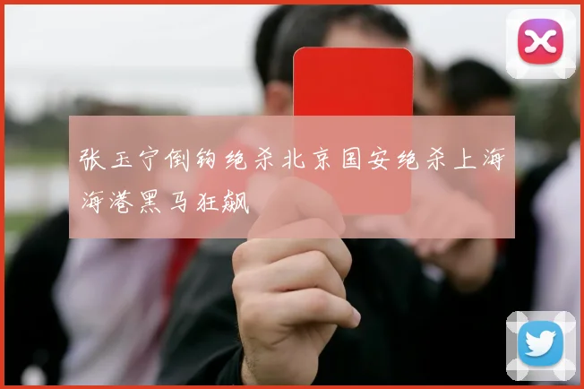 张玉宁倒钩绝杀北京国安绝杀上海海港黑马狂飙
