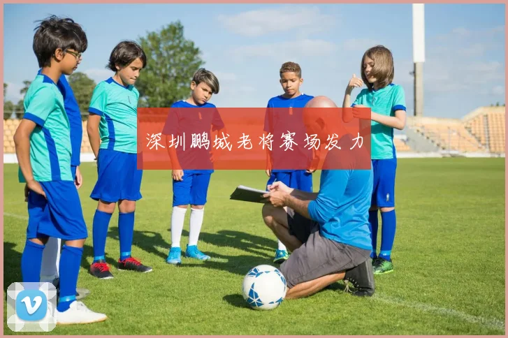 深圳鹏城老将赛场发力 - 世界杯 - 2026世界杯官方中文网站