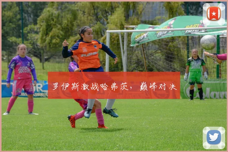 罗伊斯激战哈弗茨,巅峰对决 - 世界杯 - 2026世界杯官方中文网站