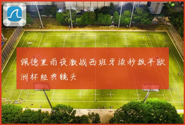 佩德里雨夜激战西班牙读秒扳平欧洲杯经典镜头