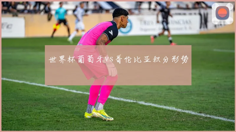 世界杯葡萄牙vs哥伦比亚积分形势