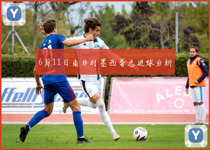6月11日南非对墨西哥总进球分析