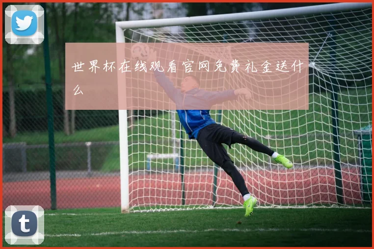 世界杯在线观看官网免费礼金送什么