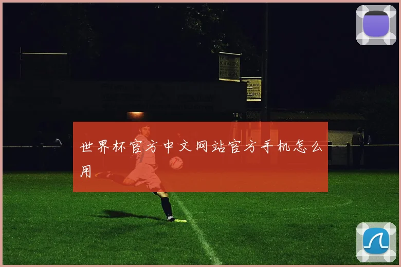 世界杯官方中文网站官方手机怎么用
