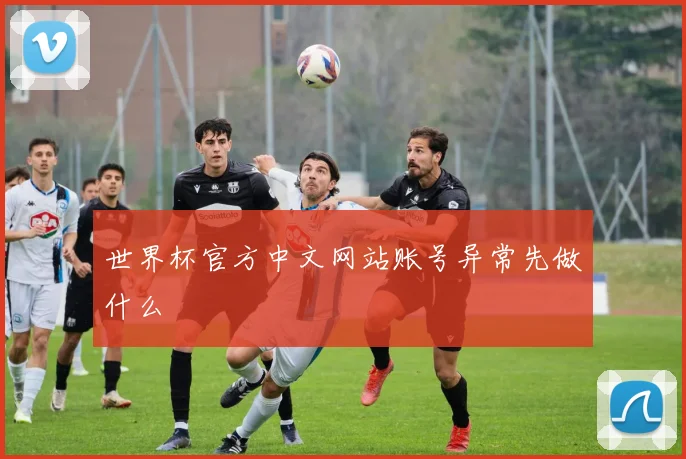 世界杯官方中文网站账号异常先做什么